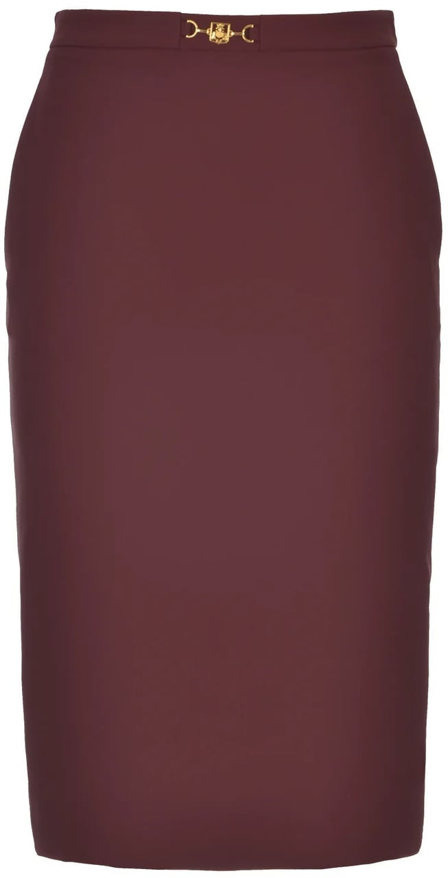 Elisabetta Franchi Skirts Maroon Maroon