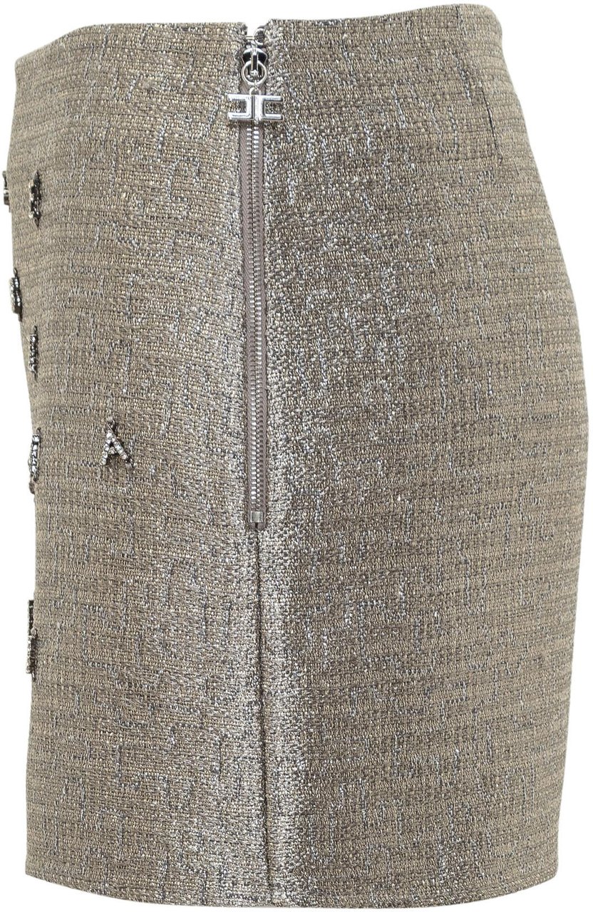 Elisabetta Franchi Gonna con Charms in Strass Grijs