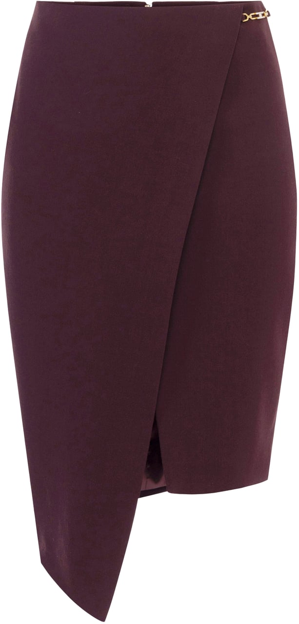 Elisabetta Franchi Skirts Merlot Rood