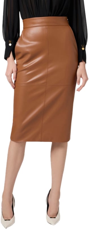 Elisabetta Franchi Skirts Brown Bruin