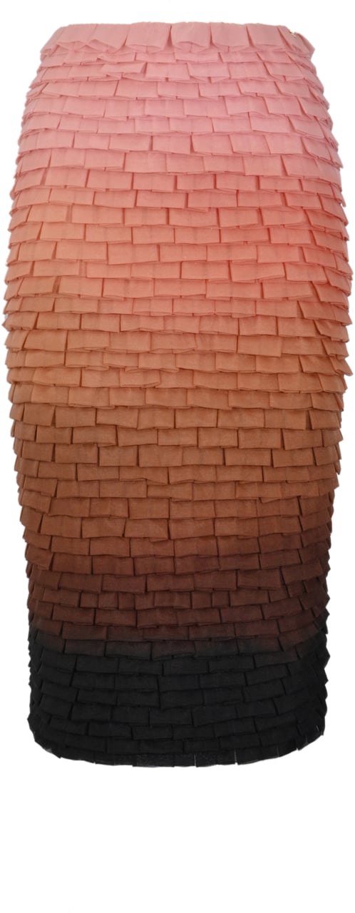Elisabetta Franchi Skirts Nude/Cacao Beige