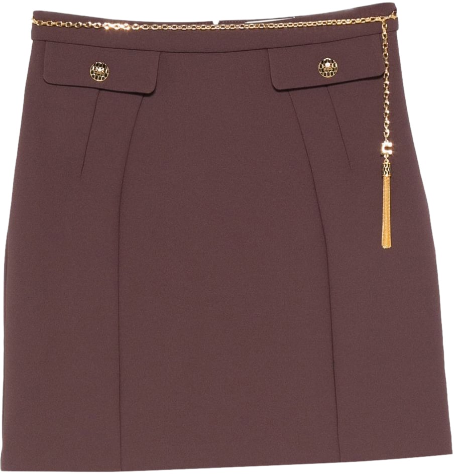 Elisabetta Franchi Skirts Brown Bruin