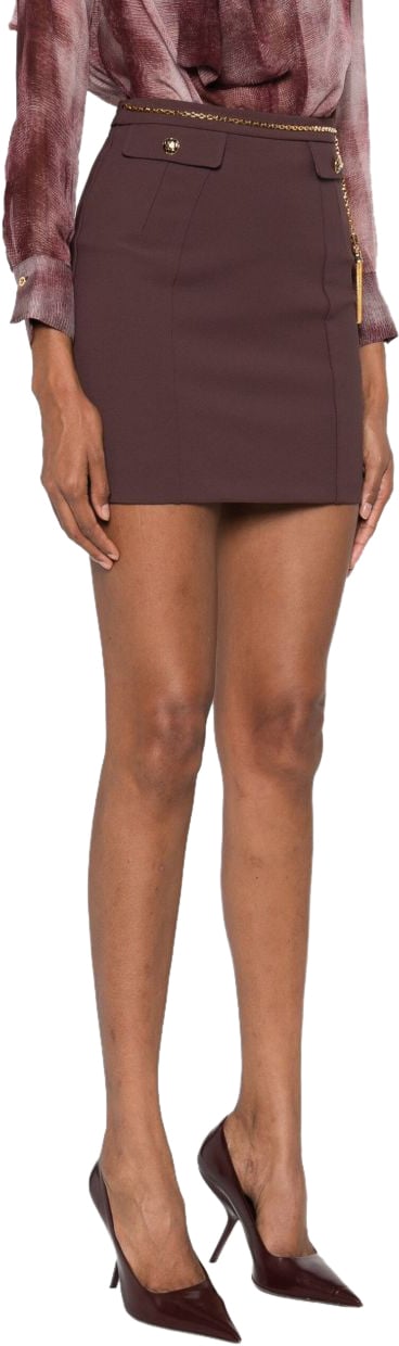 Elisabetta Franchi Skirts Brown Bruin