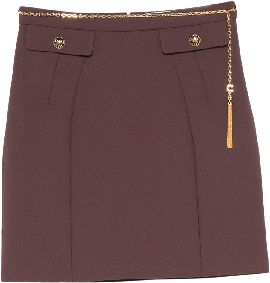 Elisabetta Franchi Skirts Brown Bruin