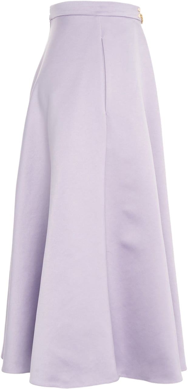 Elisabetta Franchi Midi skirt Paars