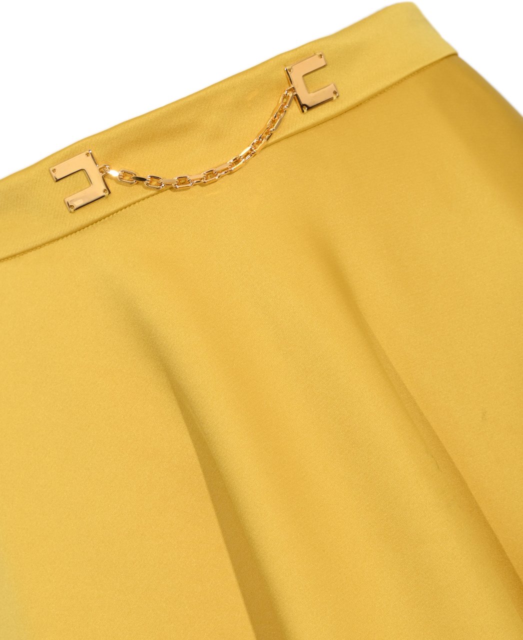 Elisabetta Franchi Skirts Sun Geel