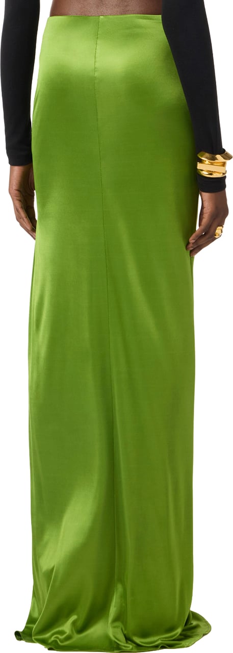Elisabetta Franchi Skirts Aloe Lime
