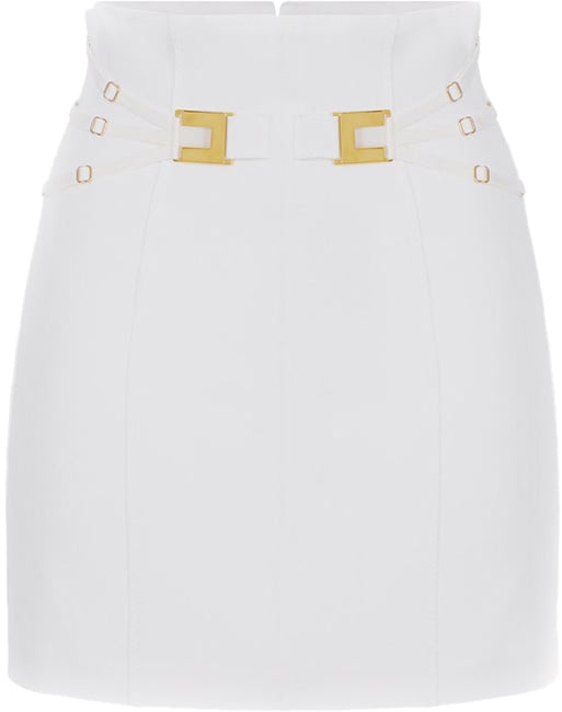 Elisabetta Franchi Skirts Divers