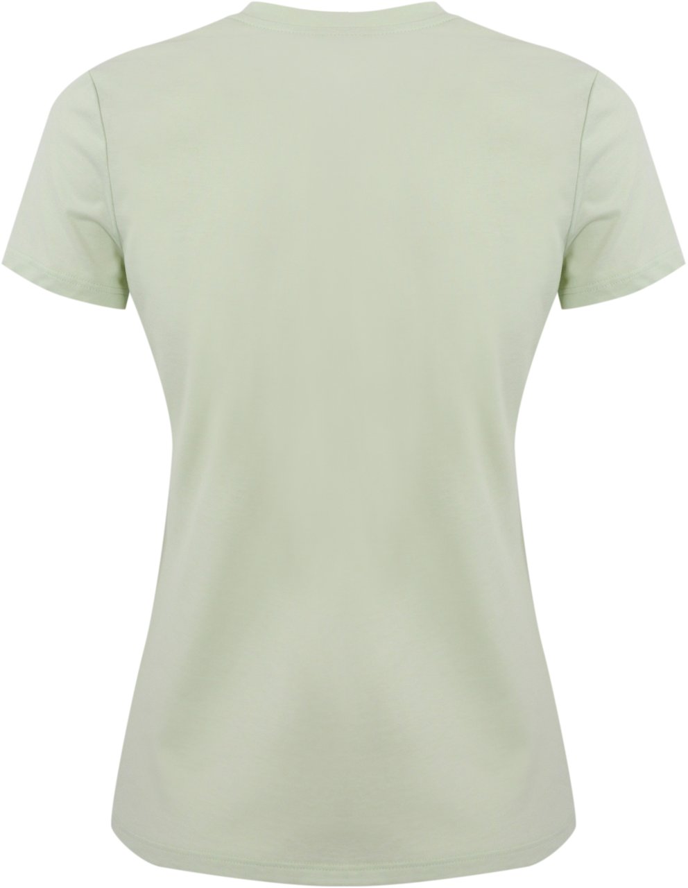 Elisabetta Franchi T-Shirts And Polos Mint Green Groen
