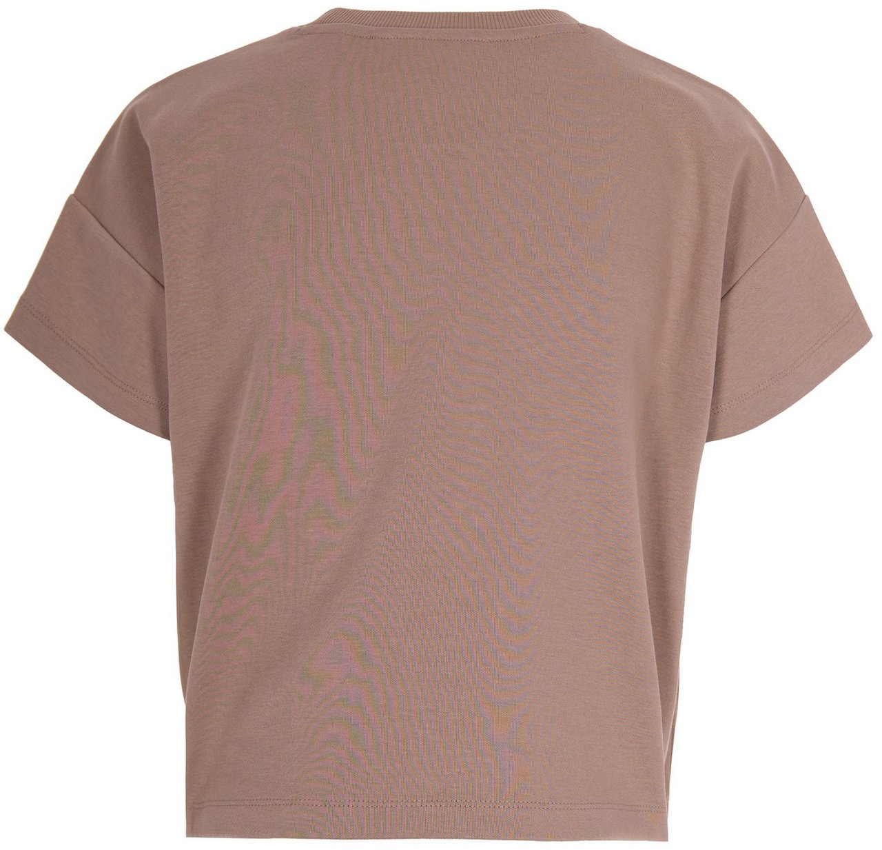Elisabetta Franchi T-Shirts And Polos Argilla Taupe