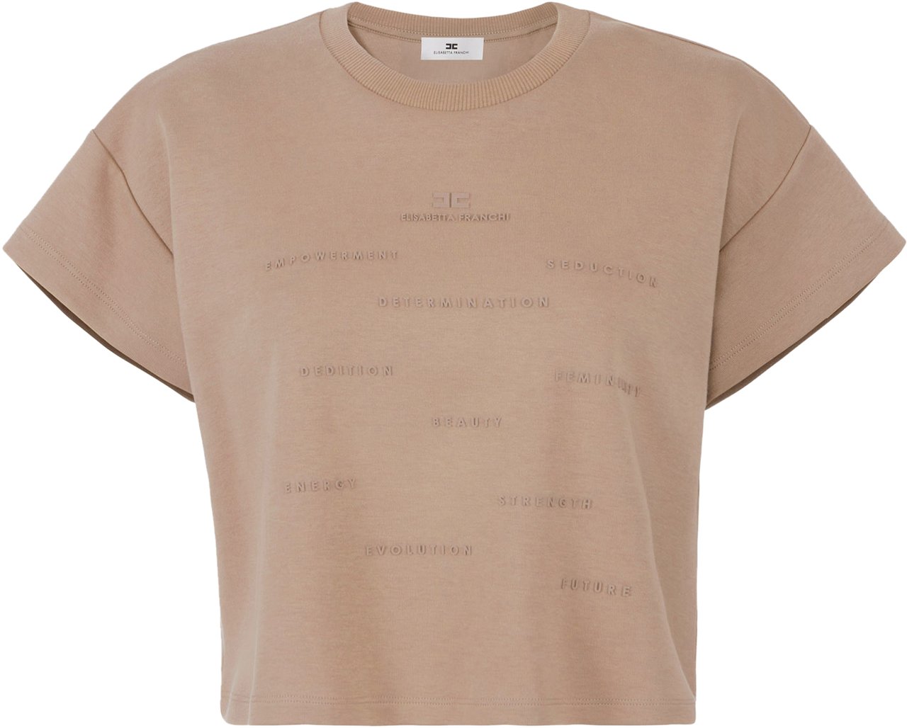 Elisabetta Franchi Sweaters Argilla Bruin