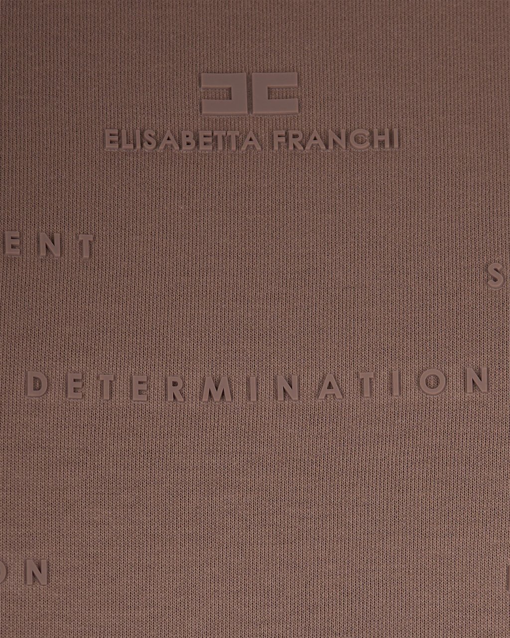 Elisabetta Franchi T-Shirts And Polos Argilla Taupe