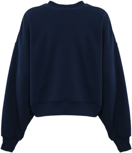 Elisabetta Franchi Sweaters Blue Blauw