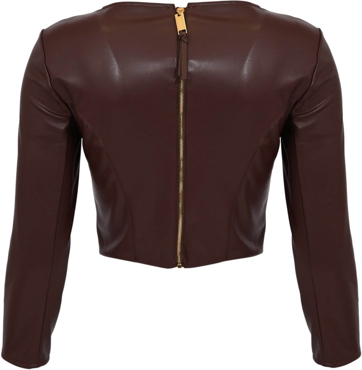 Elisabetta Franchi Sweaters Brown Bruin