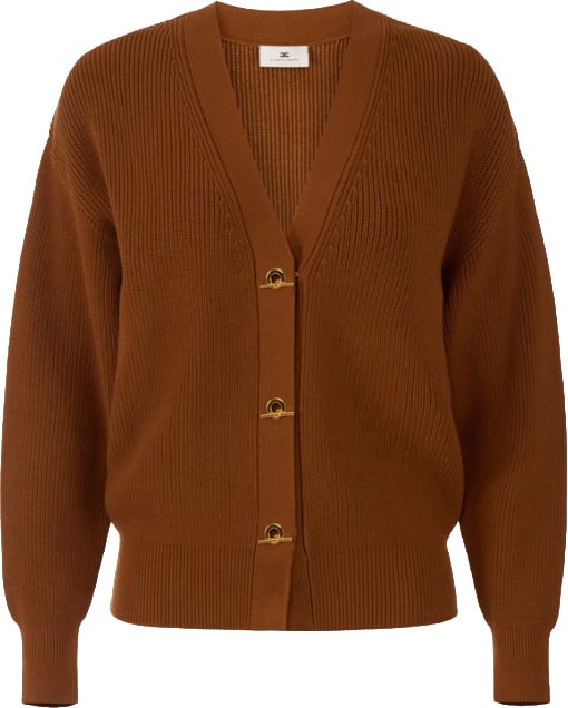 Elisabetta Franchi Sweaters Sigaro Bruin