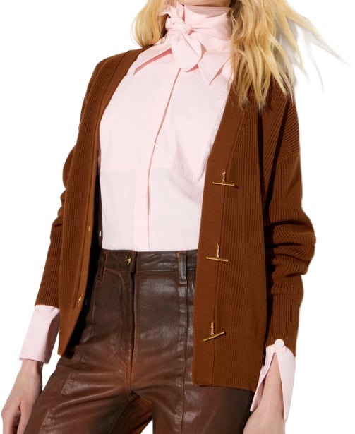 Elisabetta Franchi Sweaters Sigaro Bruin