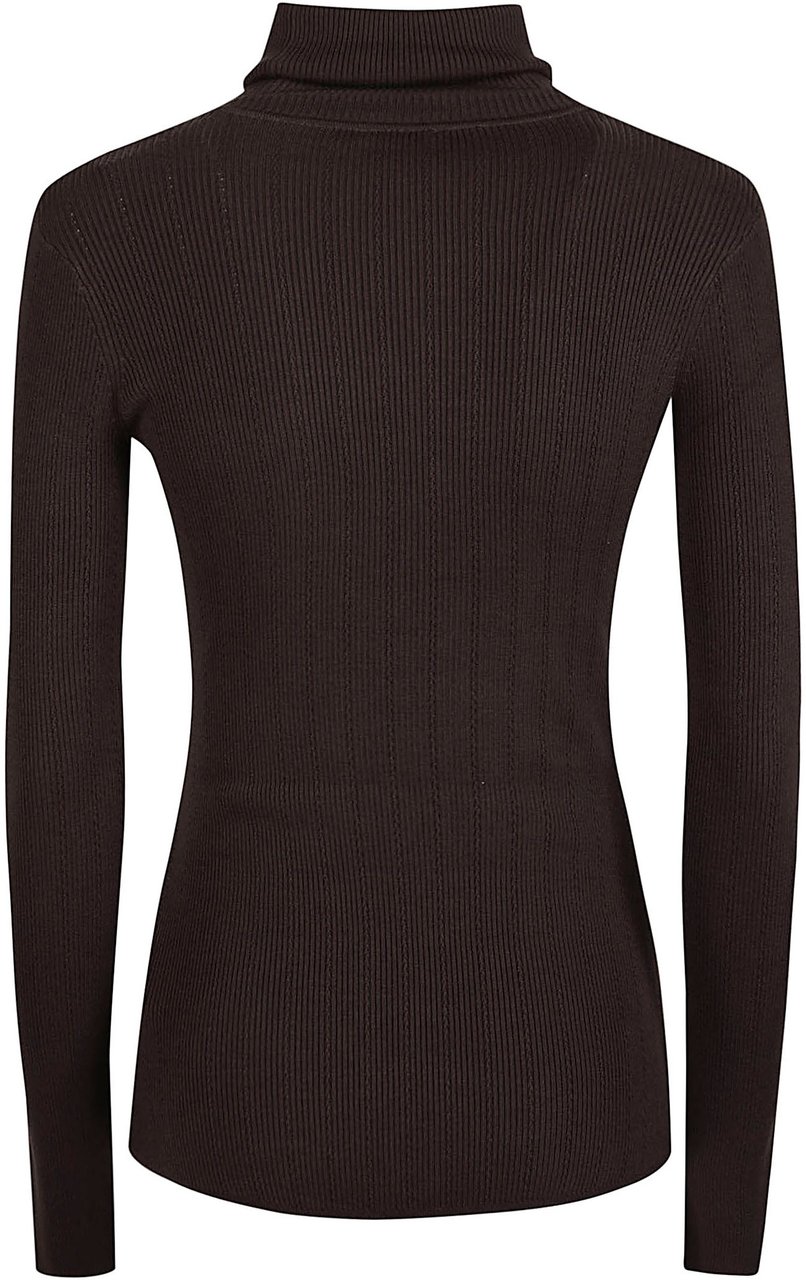 Elisabetta Franchi Long Sleeve Turtle Neck Sweater Brown Bruin