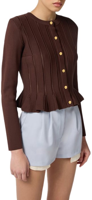 Elisabetta Franchi Sweaters Brown Bruin