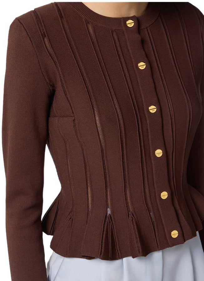 Elisabetta Franchi Sweaters Brown Bruin