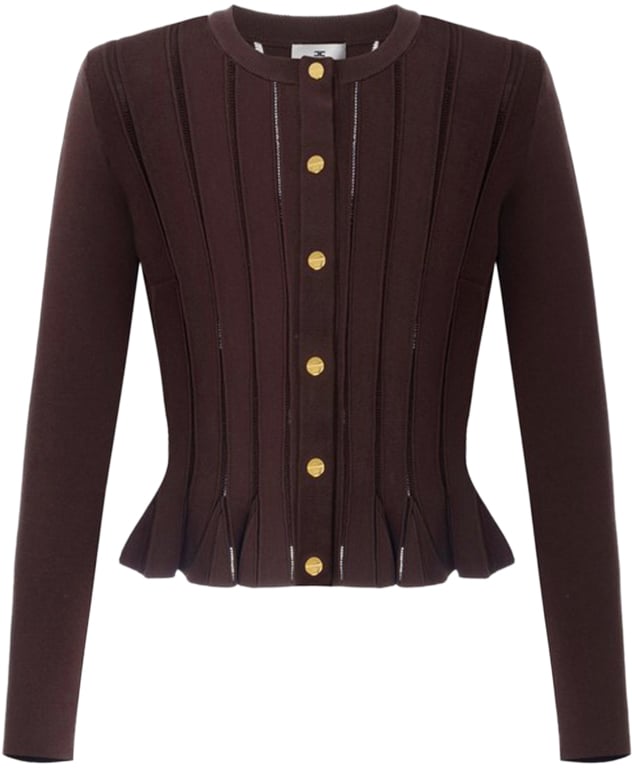 Elisabetta Franchi Sweaters Brown Bruin