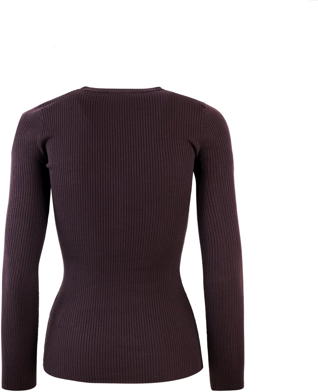 Elisabetta Franchi Sweaters Merlot Rood