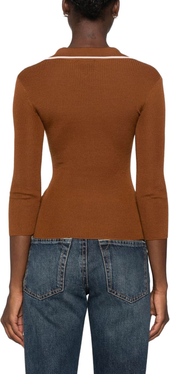 Elisabetta Franchi T-Shirts And Polos Brown Bruin