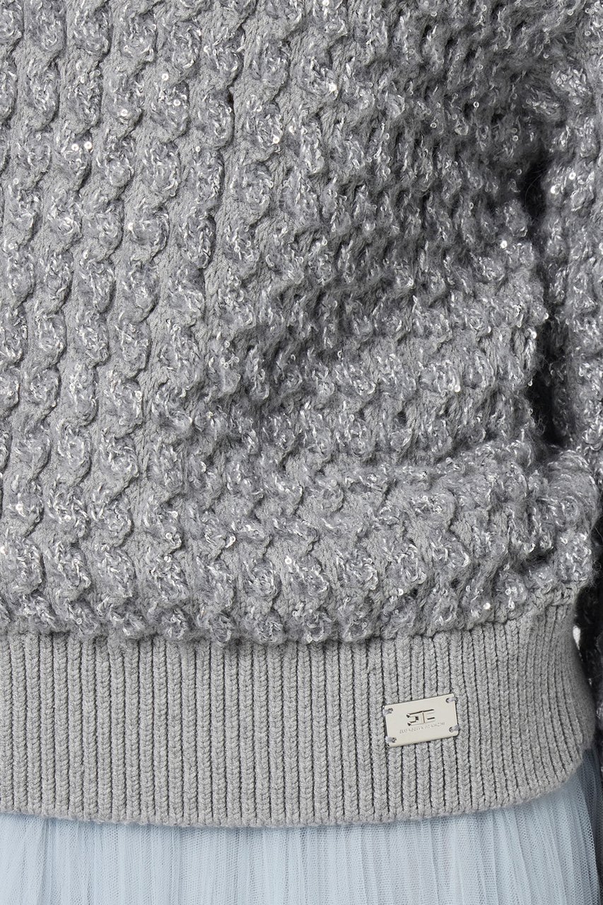 Elisabetta Franchi Sweaters Grey Grijs