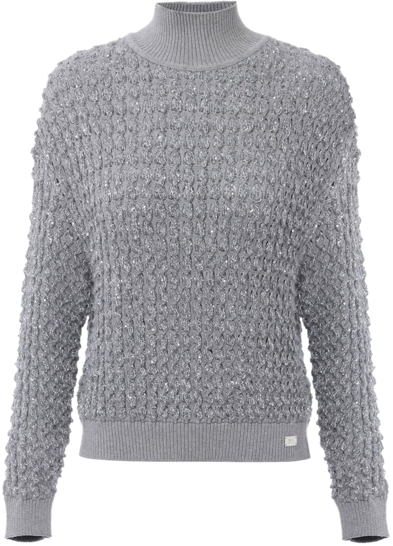 Elisabetta Franchi Sweaters Grey Grijs