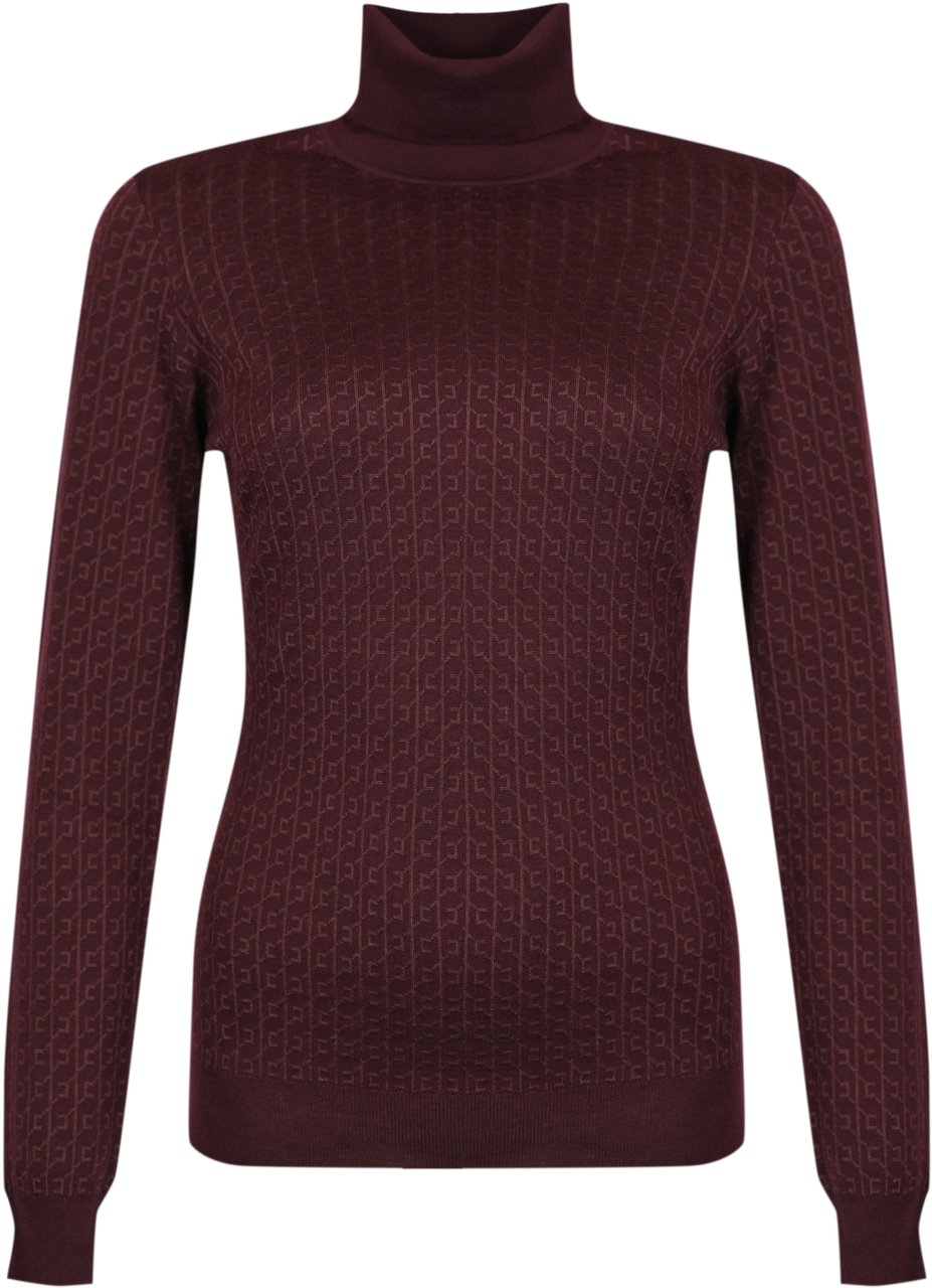 Elisabetta Franchi Sweaters Merlot Rood