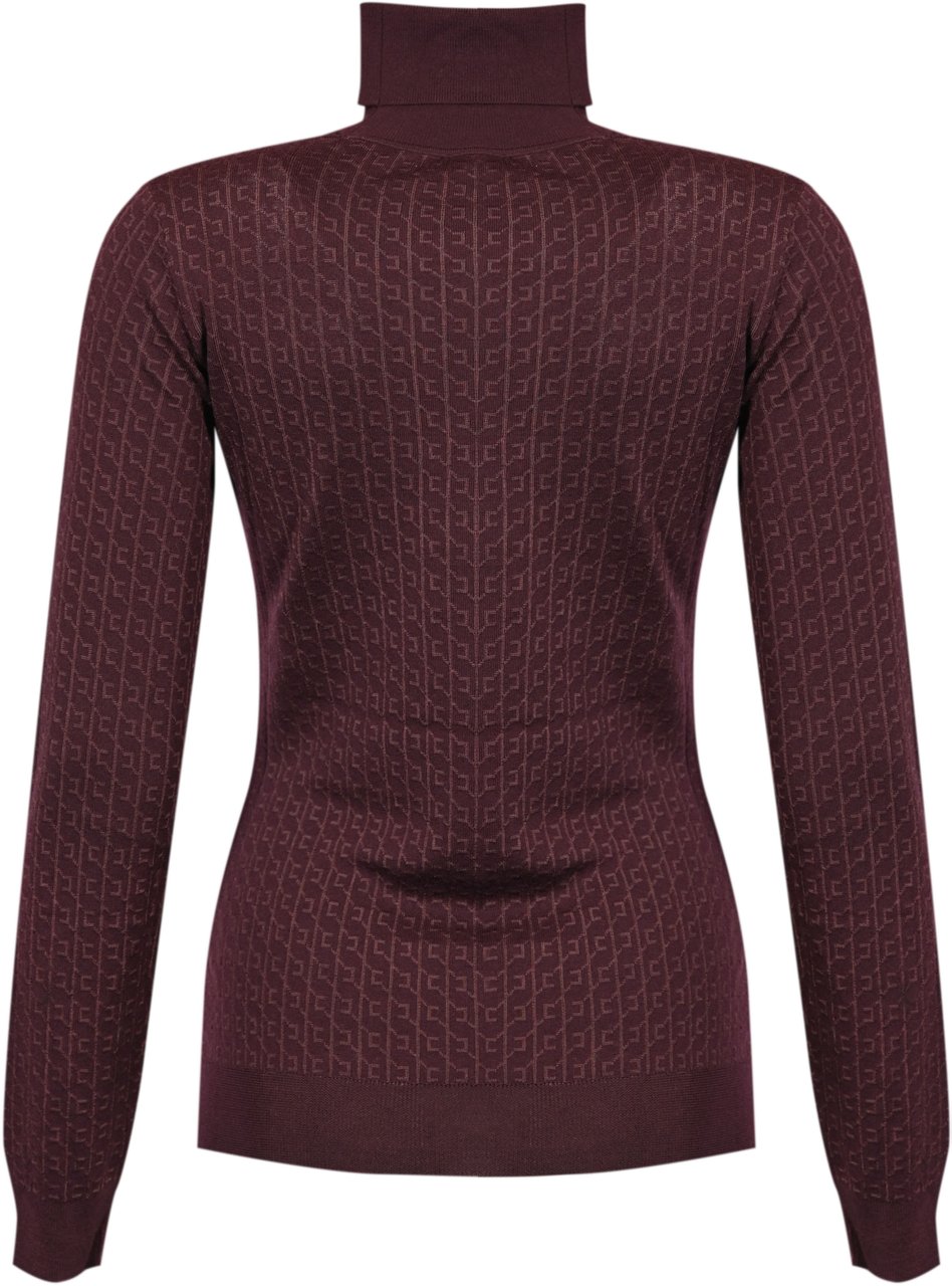 Elisabetta Franchi Sweaters Merlot Rood