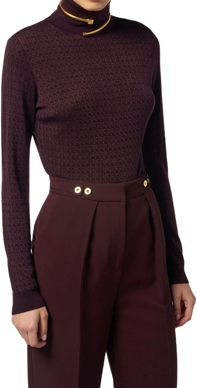 Elisabetta Franchi Sweaters Bordeaux Rood