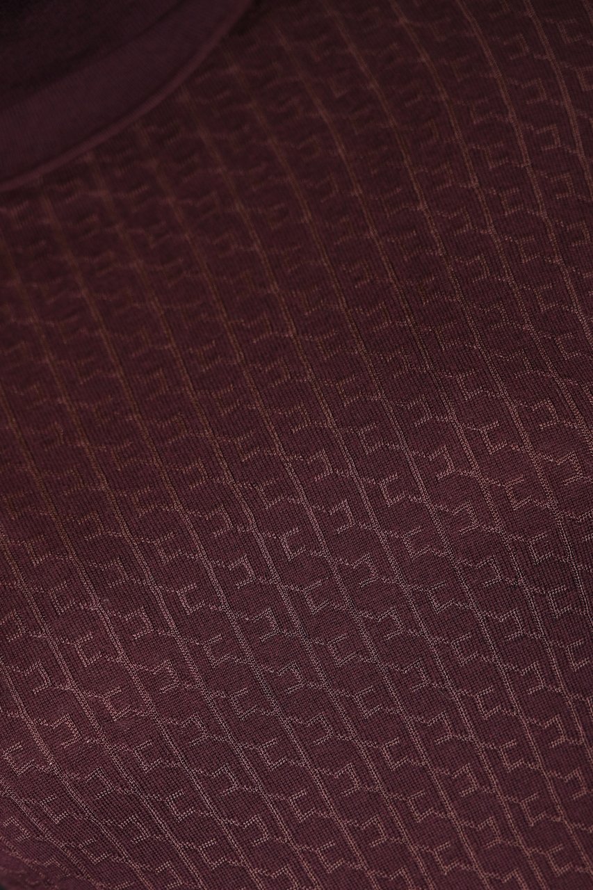 Elisabetta Franchi Sweaters Merlot Rood