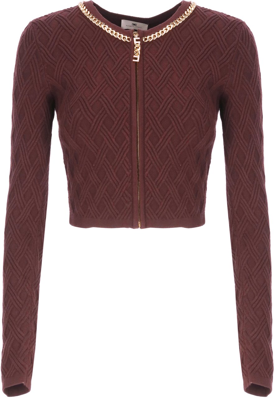 Elisabetta Franchi Sweaters Bordeaux Rood