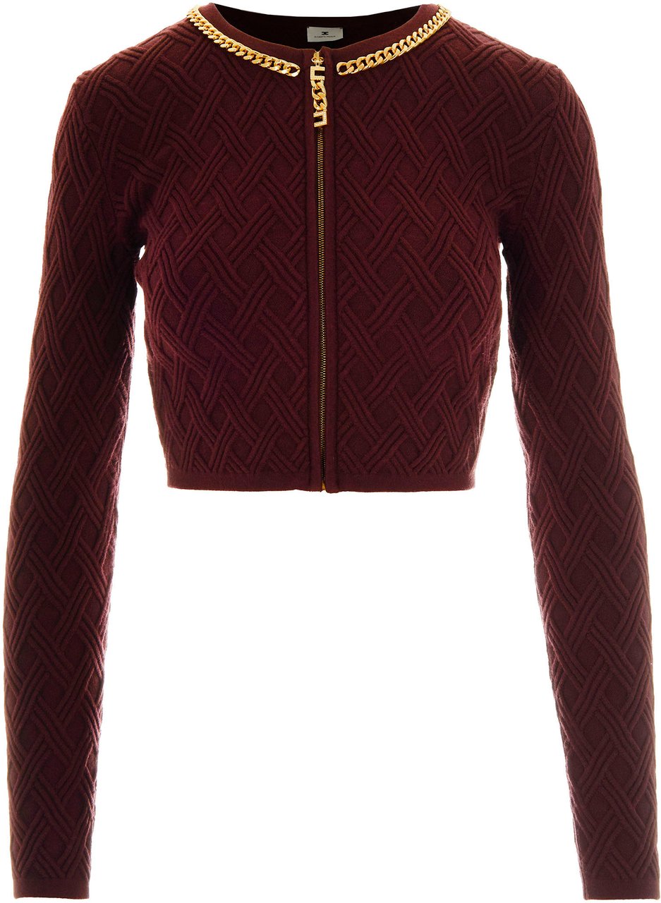 Elisabetta Franchi Sweaters Bordeaux Rood