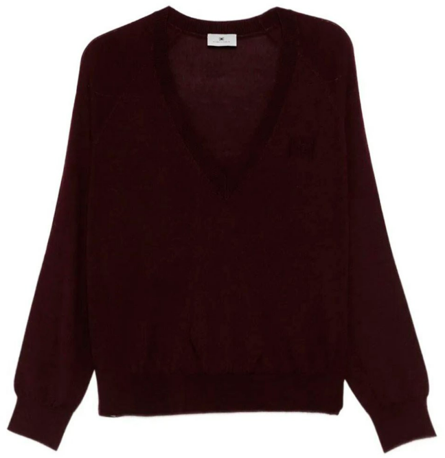 Elisabetta Franchi Sweaters Merlot Rood