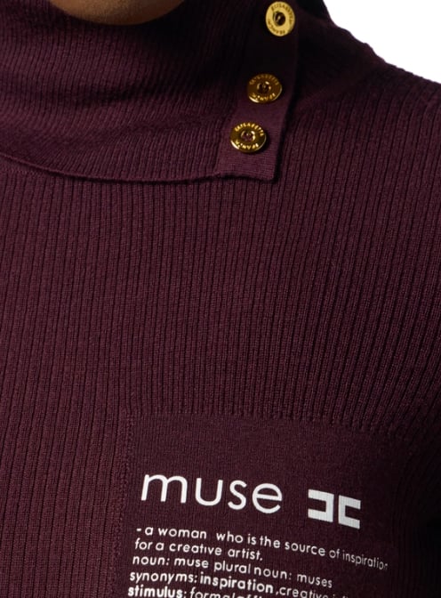 Elisabetta Franchi Sweaters Merlot Rood