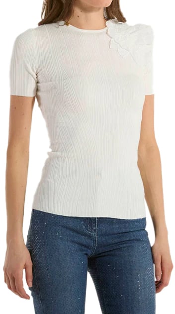 Elisabetta Franchi Sweaters Ivory Wit