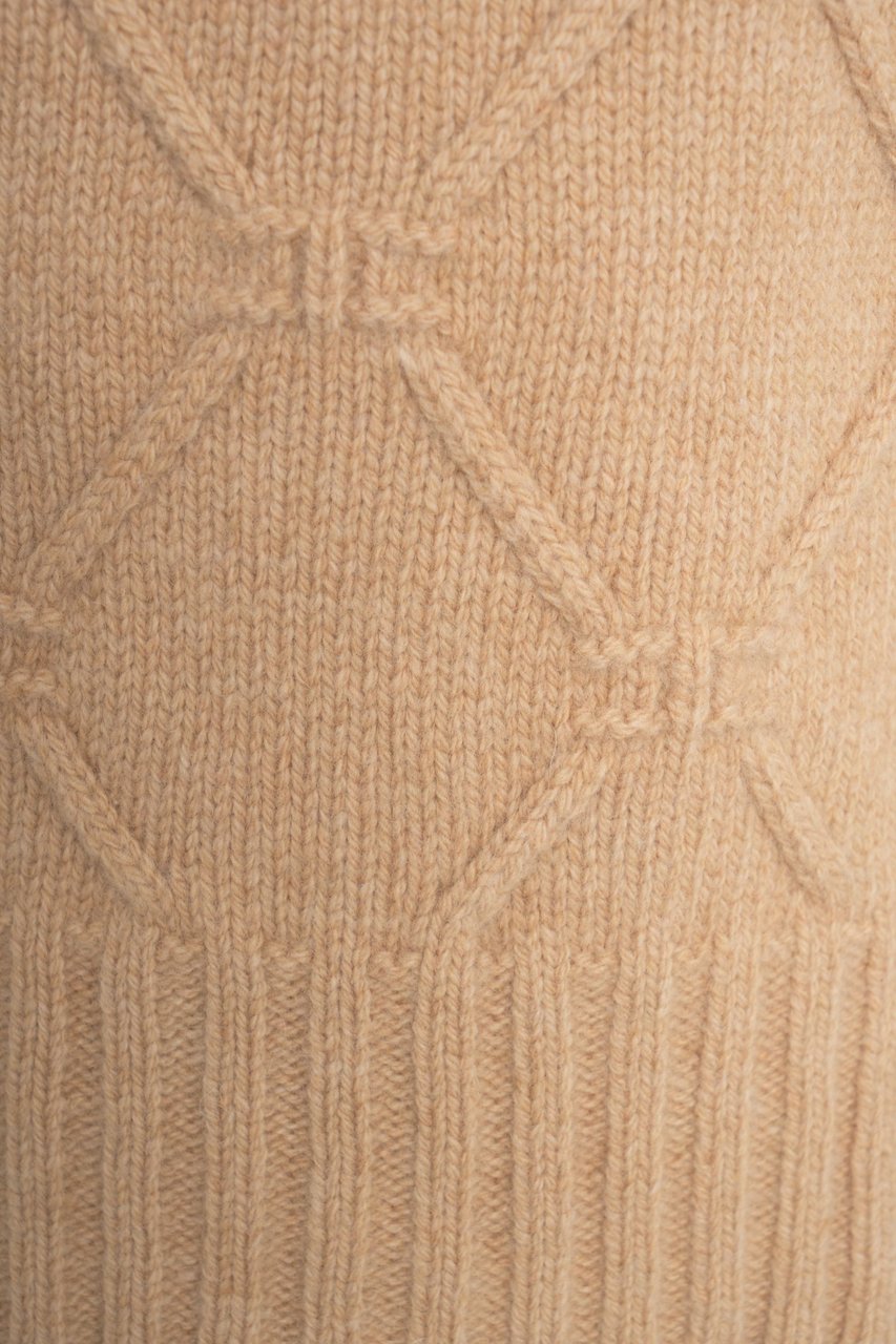 Elisabetta Franchi High neck wool sweater Bruin