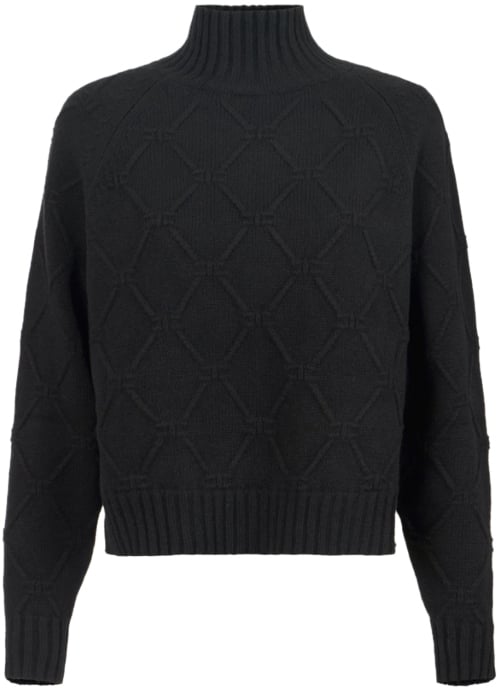 Elisabetta Franchi Sweaters Black Zwart