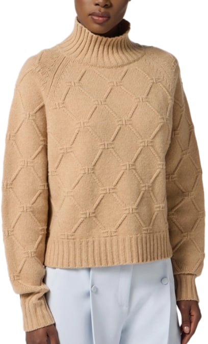 Elisabetta Franchi Sweaters Miele Beige