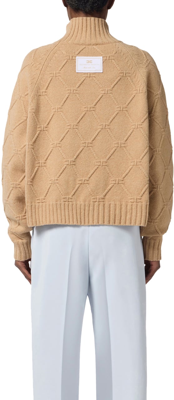 Elisabetta Franchi Sweaters Honey Geel
