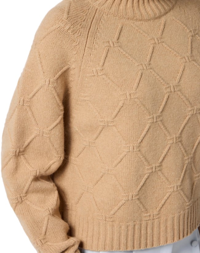 Elisabetta Franchi Sweaters Miele Beige