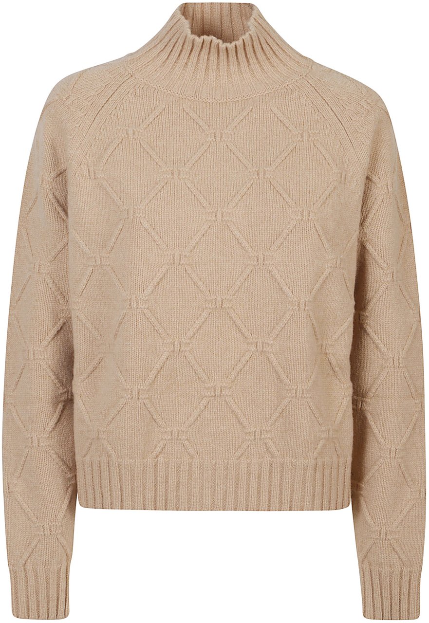 Elisabetta Franchi Tricot Turtle Neck Sweater Brown Bruin