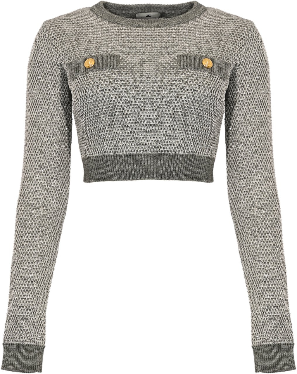 Elisabetta Franchi Sweaters Grey Grijs