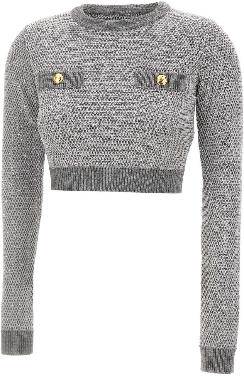 Elisabetta Franchi Top Silver Zilver