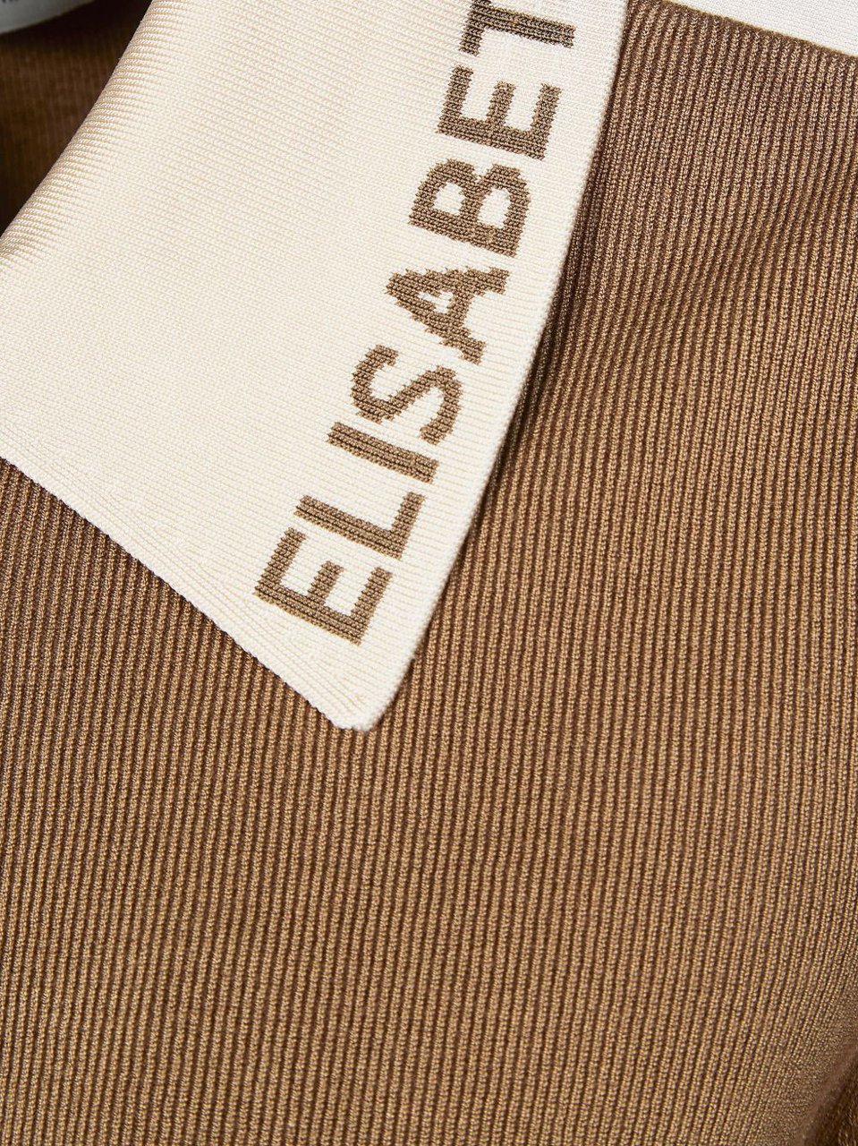 Elisabetta Franchi Sweaters Argillaburro Beige