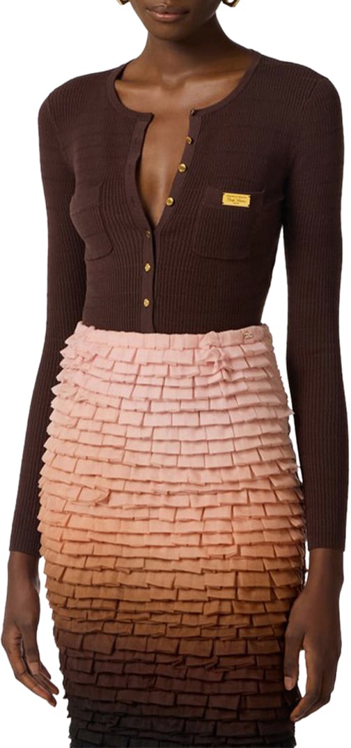 Elisabetta Franchi Sweaters Brown Bruin