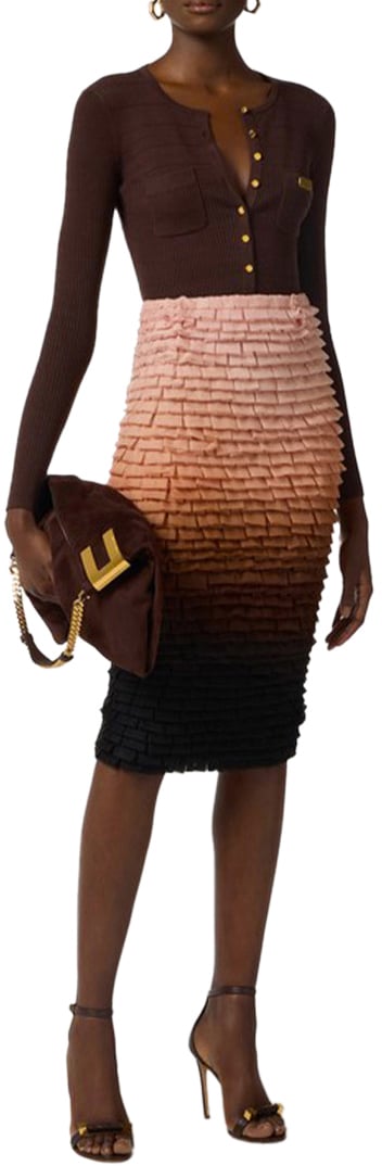 Elisabetta Franchi Sweaters Brown Bruin