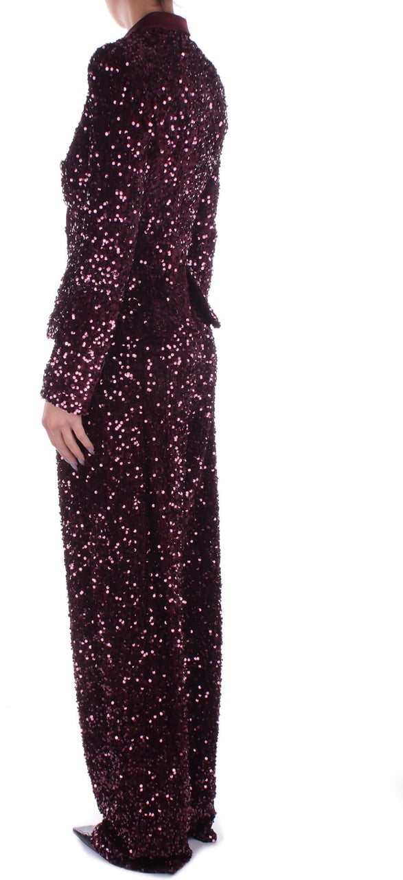 Elisabetta Franchi Trousers Bordeaux Rood