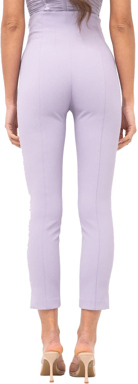 Elisabetta Franchi Trousers Lillà Paars